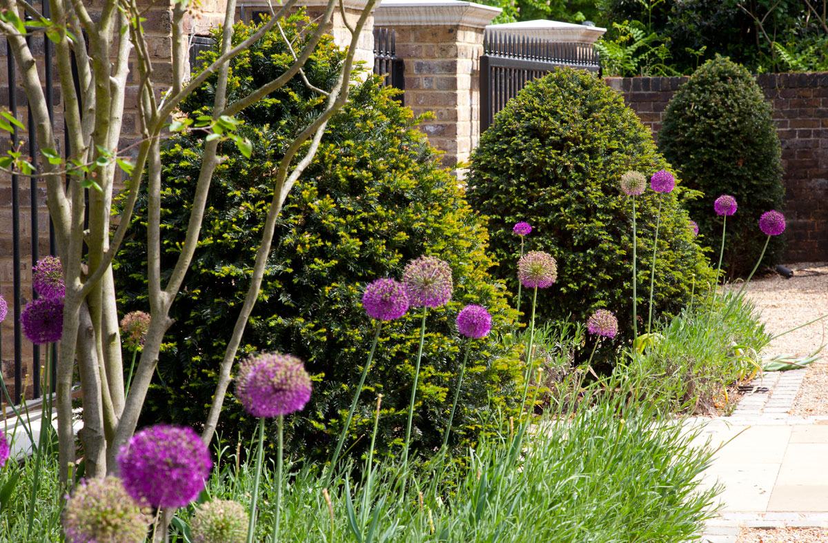 Hampton Court Garden Image