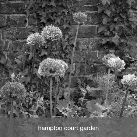 hampton court garden